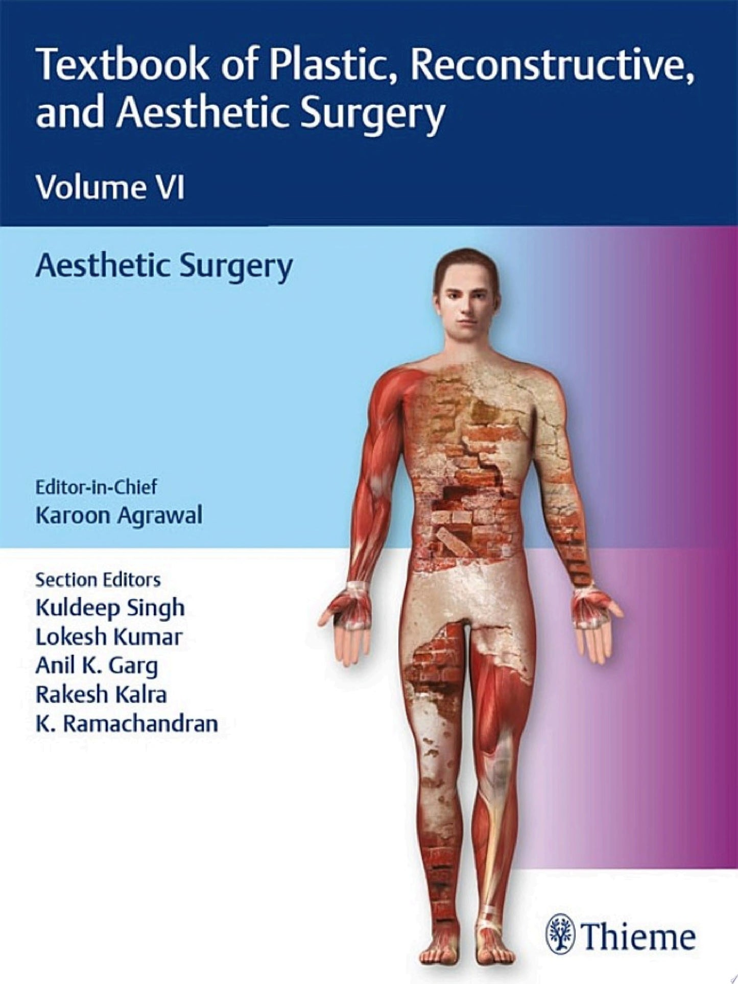Textbook of Plastic, Reconstructive, and Aesthetic Surgery Volume VI : Aesthetic Surgery